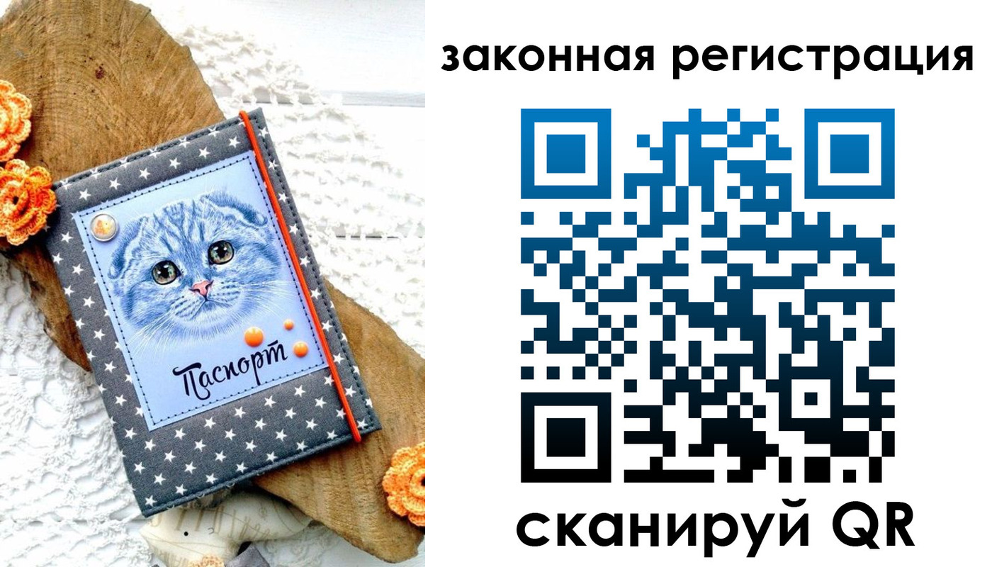 регистрация в Александровске